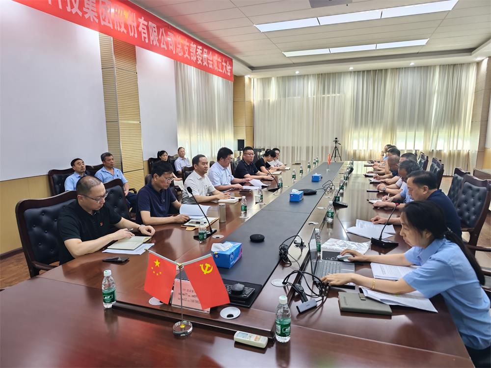 350vip浦京集团集团党总支成立